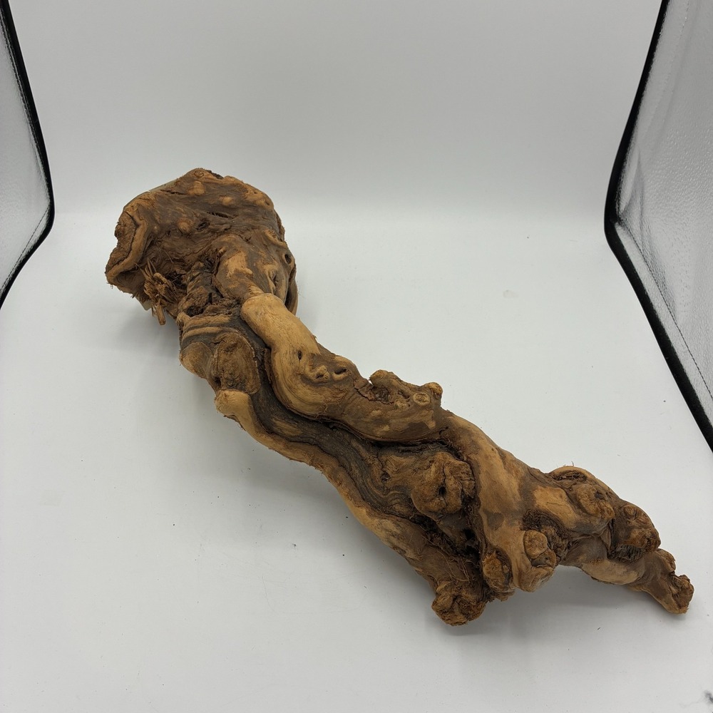 Grapewood Driftwood Aquarium Terrarium Reptile Decor 18in New - Picture 2 of 4